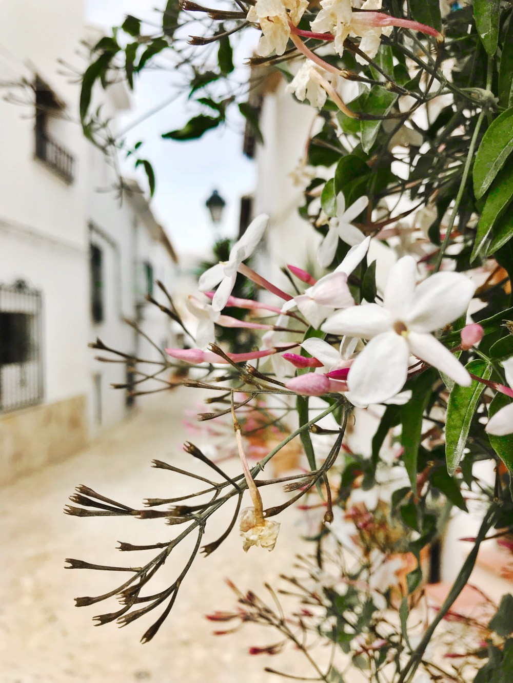 15D9BA08-6642-4D0B-8C2A-7FE8666A1068